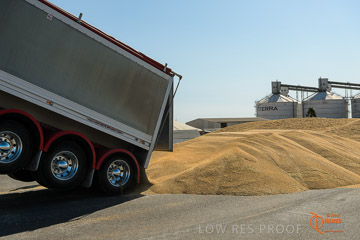 VITERRA 2013 / VITERRA_WALLAROO_243_140829