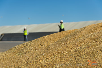 VITERRA 2013 / VITERRA_WALLAROO_247_140829