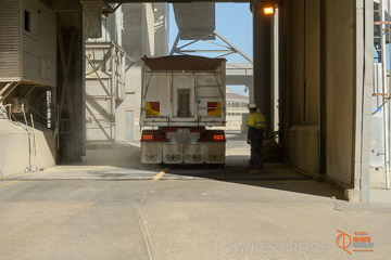 VITERRA 2013 / VITERRA_WALLAROO_251_140829