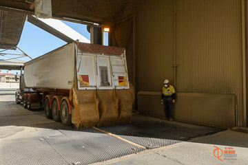 VITERRA 2013 / VITERRA_WALLAROO_254_140829