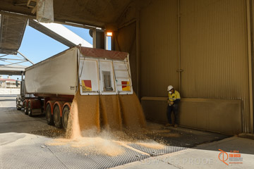VITERRA 2013 / VITERRA_WALLAROO_256_140829