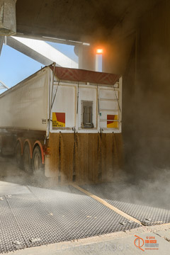 VITERRA 2013 / VITERRA_WALLAROO_263_140829