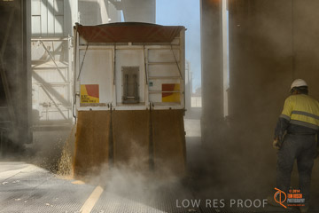 VITERRA 2013 / VITERRA_WALLAROO_271_140829