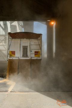 VITERRA 2013 / VITERRA_WALLAROO_274_140829