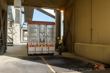 VITERRA 2013 / VITERRA_WALLAROO_289_140829