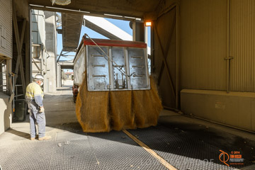 VITERRA 2013 / VITERRA_WALLAROO_294_140829