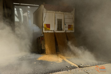 VITERRA 2013 / VITERRA_WALLAROO_317_140829