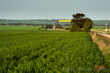 VITERRA 2013 / VITERRA_WALLAROO_329_140829