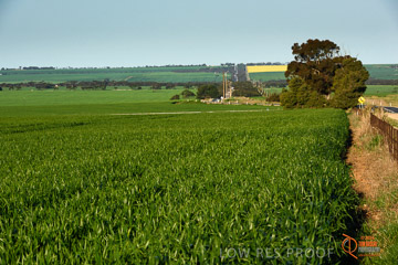 VITERRA 2013 / VITERRA_WALLAROO_357_140829