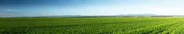 VITERRA 2013 / VITERRA_WALLAROO_374_140829_(7385x1369)_(10)_88_0000