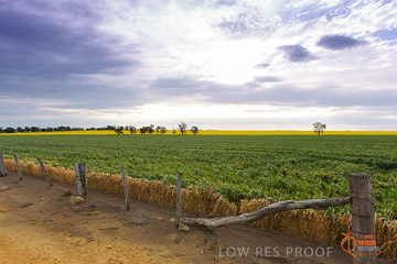 VITERRA 2013 / VITERRA_GLENVALE_FARMS_001_140908