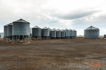 VITERRA 2013 / VITERRA_GLENVALE_FARMS_054_140909