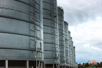 VITERRA 2013 / VITERRA_GLENVALE_FARMS_058_140909