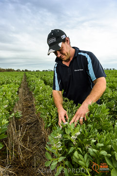 VITERRA 2013 / VITERRA_GLENVALE_FARMS_101_140909
