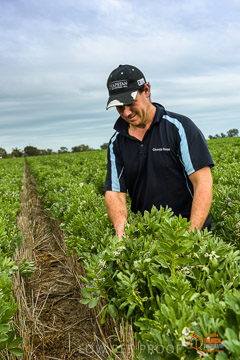 VITERRA 2013 / VITERRA_GLENVALE_FARMS_104_140909