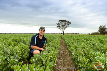 VITERRA 2013 / VITERRA_GLENVALE_FARMS_110_140909