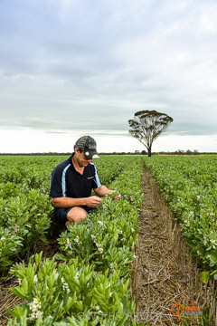 VITERRA 2013 / VITERRA_GLENVALE_FARMS_112_140909
