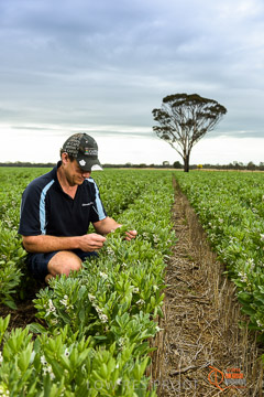 VITERRA 2013 / VITERRA_GLENVALE_FARMS_113_140909