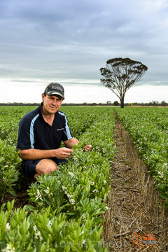 VITERRA 2013 / VITERRA_GLENVALE_FARMS_114_140909