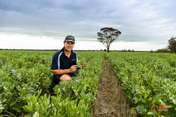 VITERRA 2013 / VITERRA_GLENVALE_FARMS_116_140909