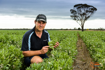 VITERRA 2013 / VITERRA_GLENVALE_FARMS_119_140909