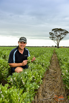 VITERRA 2013 / VITERRA_GLENVALE_FARMS_122_140909
