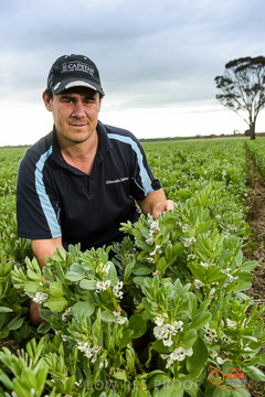 VITERRA 2013 / VITERRA_GLENVALE_FARMS_124_140909