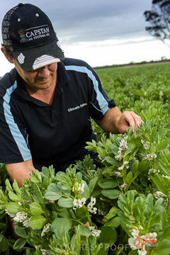 VITERRA 2013 / VITERRA_GLENVALE_FARMS_127_140909