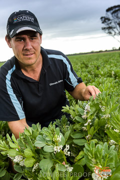 VITERRA 2013 / VITERRA_GLENVALE_FARMS_128_140909