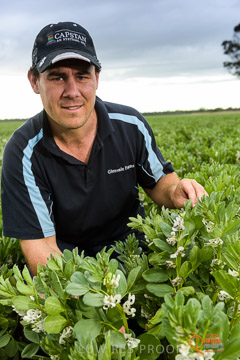 VITERRA 2013 / VITERRA_GLENVALE_FARMS_130_140909