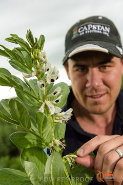 VITERRA 2013 / VITERRA_GLENVALE_FARMS_140_140909