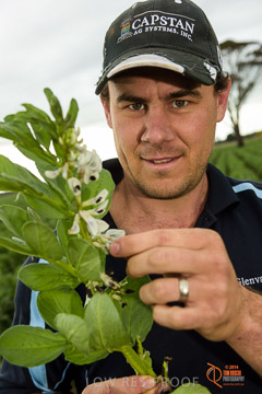 VITERRA 2013 / VITERRA_GLENVALE_FARMS_143_140909