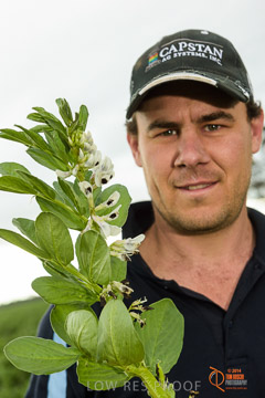 VITERRA 2013 / VITERRA_GLENVALE_FARMS_145_140909