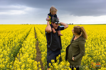 VITERRA 2013 / VITERRA_GLENVALE_FARMS_155_140909