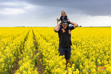 VITERRA 2013 / VITERRA_GLENVALE_FARMS_159_140909