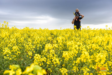 VITERRA 2013 / VITERRA_GLENVALE_FARMS_164_140909