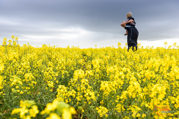 VITERRA 2013 / VITERRA_GLENVALE_FARMS_165_140909