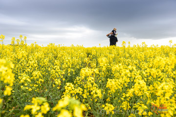 VITERRA 2013 / VITERRA_GLENVALE_FARMS_167_140909
