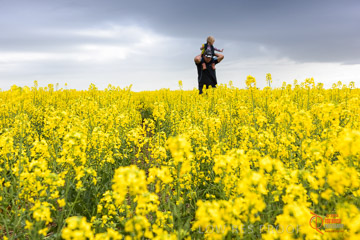 VITERRA 2013 / VITERRA_GLENVALE_FARMS_170_140909