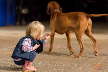 VITERRA 2013 / VITERRA_GLENVALE_FARMS_201_140909