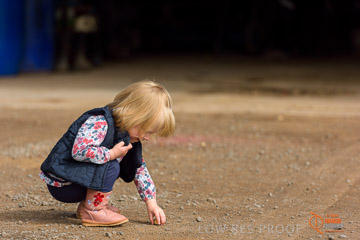 VITERRA 2013 / VITERRA_GLENVALE_FARMS_202_140909