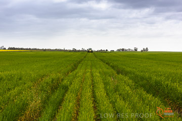 VITERRA 2013 / VITERRA_GLENVALE_FARMS_205_140909