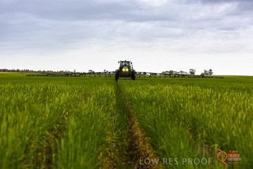 VITERRA 2013 / VITERRA_GLENVALE_FARMS_208_140909