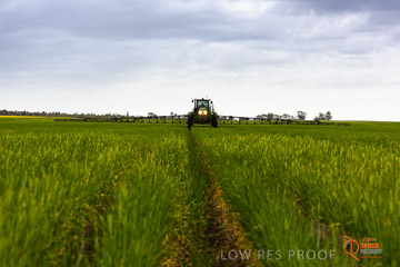VITERRA 2013 / VITERRA_GLENVALE_FARMS_209_140909
