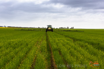 VITERRA 2013 / VITERRA_GLENVALE_FARMS_211_140909