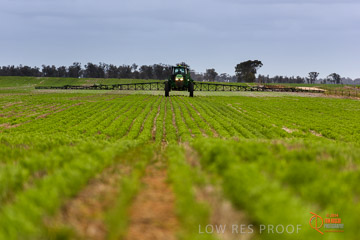 VITERRA 2013 / VITERRA_GLENVALE_FARMS_231_140909