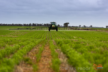 VITERRA 2013 / VITERRA_GLENVALE_FARMS_233_140909