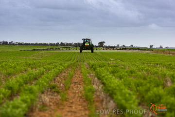 VITERRA 2013 / VITERRA_GLENVALE_FARMS_234_140909