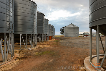 VITERRA 2013 / VITERRA_GLENVALE_FARMS_259_140909