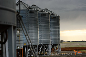 VITERRA 2013 / VITERRA_GLENVALE_FARMS_264_140909